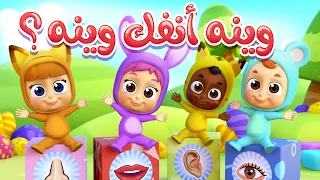 أغنية وينو انفك   قناة نونو بيبي              دندنها