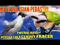 Download Lagu MASTERAN KUTILANG FULL ISIAN mp3