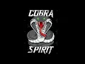 Download Lagu Le Chti'Rol dj spirit