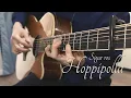 Sigur Ros - Hoppipolla Fingerstyle Guitar Cover