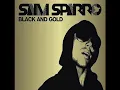 Black&Gold remix - Sam Sparro