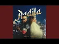 Download Lagu Radila (feat. Big Palk)