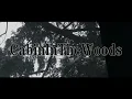 Bones & grayera - CabinInTheWoods (Lyrics)