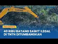 Download Lagu Penertiban TNTN Berlanjut, 700 Hektare Lebih Sudah Dikembalikan Warga Sukarela