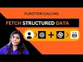 Day 3 - How to Use OpenAI Function Calling to Get Structured Data