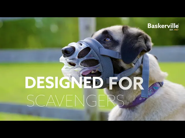 Baskerville Invisa Muzzle