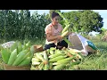 Download Lagu Country chefs: Harvest corn from my Grandma farm for my cooking - Yummy 2 recipes with corn