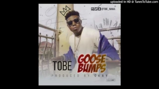 tobe goosebumps prod by ckay 