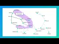 Full Tutorial Udacity - Data Structures and Algorithms Module 1