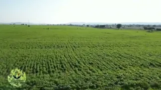 Aanaa Adaamaatti Boloqqee Kilaasteraan Misoome  Aanaa Adaamaatti Boloqqee Kilaasteraan Misoome