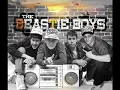 JUST A TEST THE BEASTIE BOYS