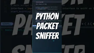 Basic Python Packet Sniffer