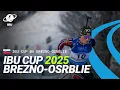 Download Lagu IBU Cup 2024/25: Brezno-Osrblie Highlight