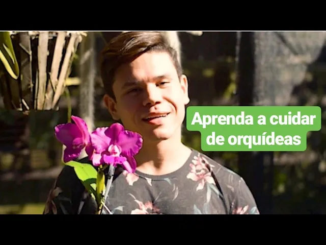 INSCREVA SE! MARCOS JÚNIOR ORQUÍDEAS