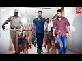 Download Lagu Allu Arjun \u0026 Jr. NTR {HD}New Released Full Hindi Dubbed Movie | Shruti Haasan, Sameera Reddy Film
