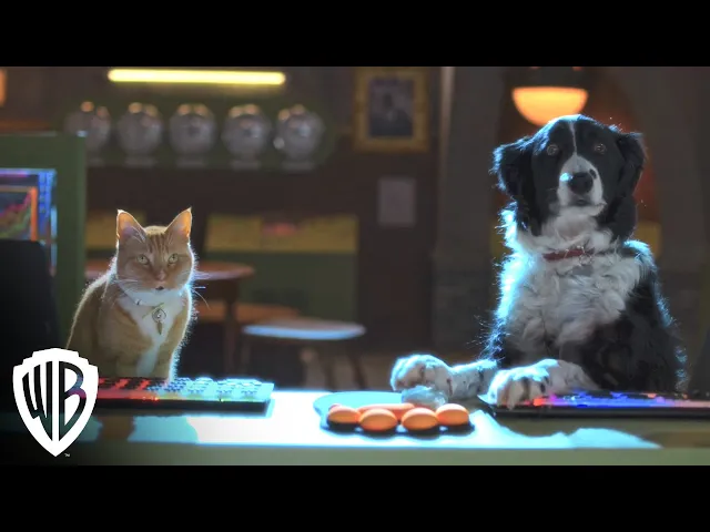 Cats & Dogs 3: Paws Unite! | Trailer | Warner Bros. Entertainment