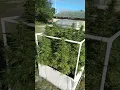 White Widow 2022 Vermont Outdoor