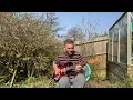Tom Misch - Cranes in the Sky [Quarantine Sessions]