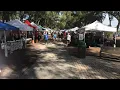Discover the Best Beach Market in Florida Coquina Beach Market on Anna Maria Island