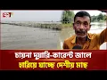 Native fish are disappearing in China s tidal current nets Native Fish Extinction Ekattor TV