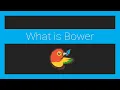 What is Bower