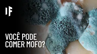 E se você comesse mofo?