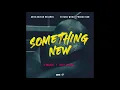 D-Major, Busy Signal - Something New [Audio]