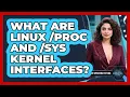 What Are Linux proc And sys Kernel Interfaces - All About Operating Systems