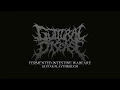 Download Lagu GUTTURAL DISEASE - Fermented Intestine Warfare ( Guitar Playthrough )