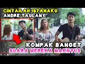 Download Lagu CINTAILAH ISTANAKU - ANDRE TAULANY (LIRIK) COVER BY NABILA MAHARANI FT TRI SUAKA