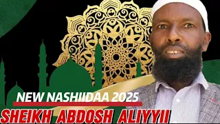 Nashiida Haaraya Sheikh Abdosh Aliyyii 2025 Nasheeda Heddu Bareedduu Sheikh Abdosh Aliyyii 
