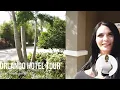 Destination Wow the Grove Resort Orlando