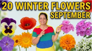 20 Best Winter Flowers for September: Abhi Ugayein ✨