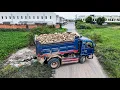 Download Lagu Excellent Skilllful Driver 5Ton Dump Trucks Unloading Stone \u0026 DOZER KOMATSU D21P Pushing Clear land