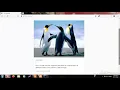 instagram clone with flask