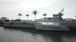 Sea Shepherd’s Brigitte Bardot