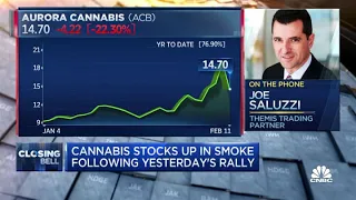Here s the difference between Reddit-fueled GME trade and pot stocks