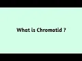 What is Chromatid