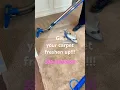 Carpet cleaning in Opelika Alabama