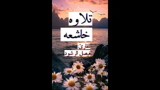 تلاوه خاشعه من سوره الشعراء بصوت القارئ فيصل الرشود 