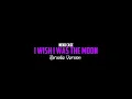 Neko Case - I Wish I was the Moon (Karaoke Version)