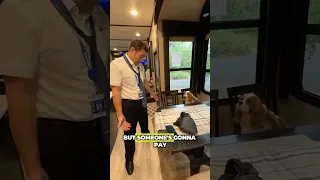 Living my best life while dad funds the chaos. 💥🐾