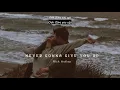 Download Lagu Vietsub | Never Gonna Give You Up - Rick Astley | Lyrics Video