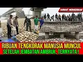 Lagu MENGERIKAN ! Kenapa RIBUAN Mayat-Mayat Ini Disembunyikan dalam Beton? Siapa Dalangnya?