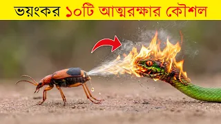 প্রাণিজগতের সবচেয়ে অদ্ভুত ১০টি প্রতিরক্ষা ব্যবস্থা! World's 10 Most Incredible Animal Defenses