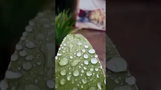 Tu Itni Khobsort Hai Rahat Fateh Ali Khan Viral Trending Tuitnikhubsurathai Tuitnikhoobsurathai 