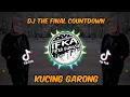 Download Lagu DJ FINAL COUNTDOWN x KUCING GARONG VIRAL TIK TOK REMIX FULL BASS 2022 (IPB Remix)