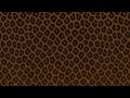 4 hour animal print screen