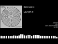 Bionic Leaves - Labyrinth III