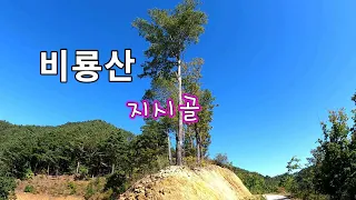 야생 산 짐승들의 낙원 비룡산 임도탐사 여행//노지차박 캠핑//오지산골!! 썸네일
